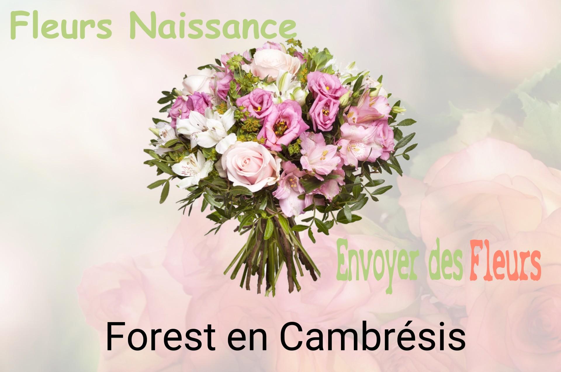 Bouquet de fleurs de naissance livré à Forest-en-Cambrésis